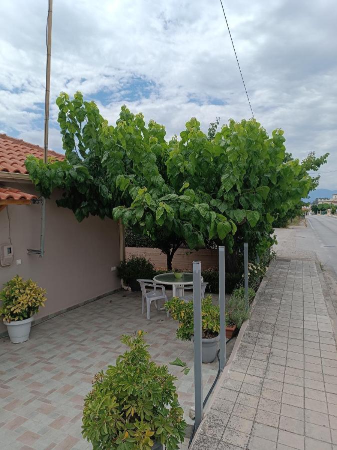 Chrysa'S House Apartment Aigio Bagian luar foto